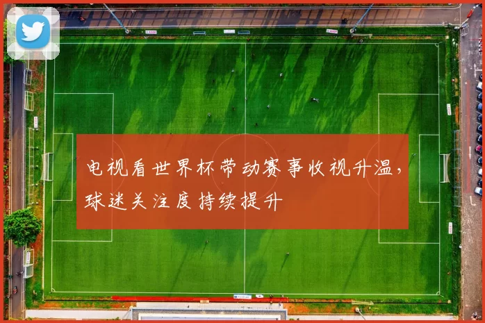 电视看世界杯带动赛事收视升温，球迷关注度持续提升