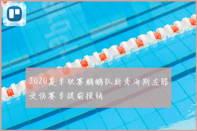 2020夏季联赛鹈鹕队新秀海斯左膝受伤赛季提前报销