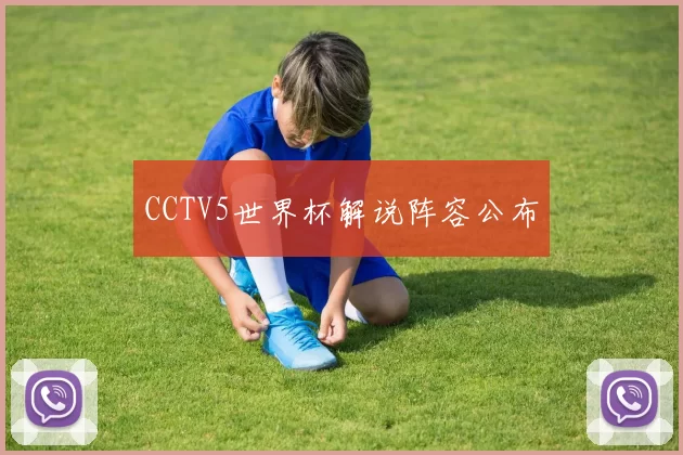 CCTV5世界杯解说阵容公布