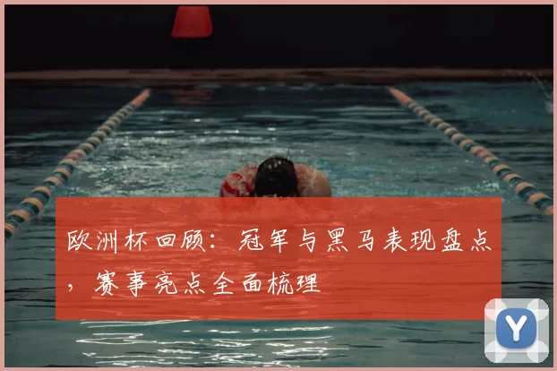欧洲杯回顾:冠军与黑马表现盘点,赛事亮点全面梳理