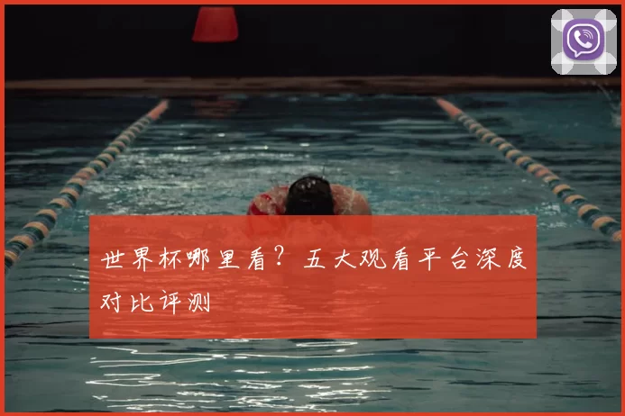 世界杯哪里看？五大观看平台深度对比评测