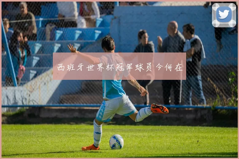 西班牙世界杯冠军球员今何在