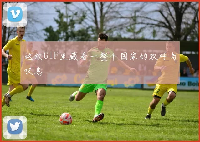 这枚GIF里藏着一整个国家的欢呼与叹息