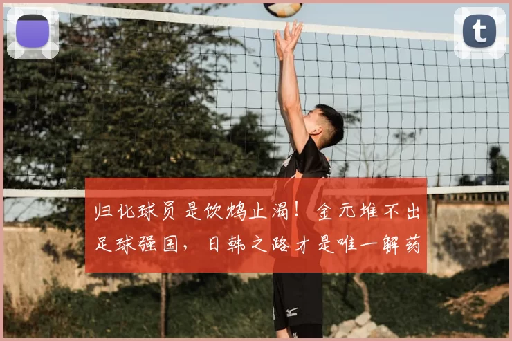 归化球员是饮鸩止渴！金元堆不出足球强国，日韩之路才是唯一解药