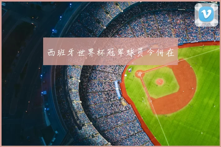 西班牙世界杯冠军球员今何在