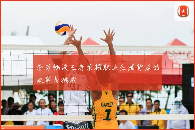 李芳畅谈王者荣耀职业生涯背后的故事与挑战