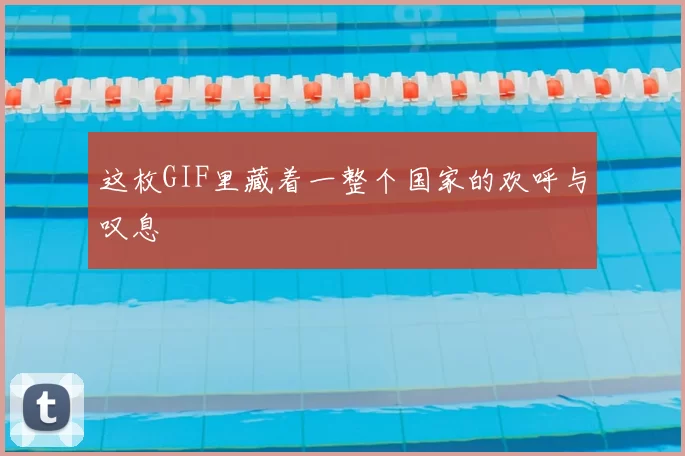 这枚GIF里藏着一整个国家的欢呼与叹息