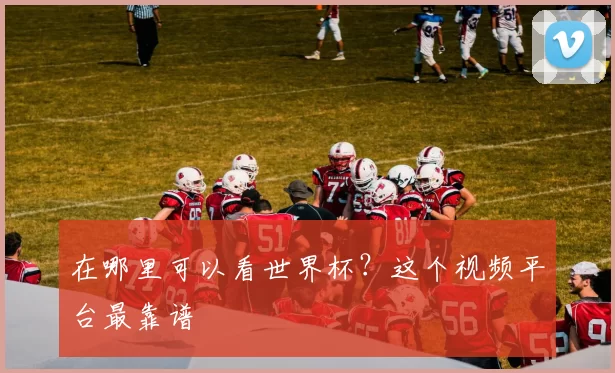 在哪里可以看世界杯?这个视频平台最靠谱