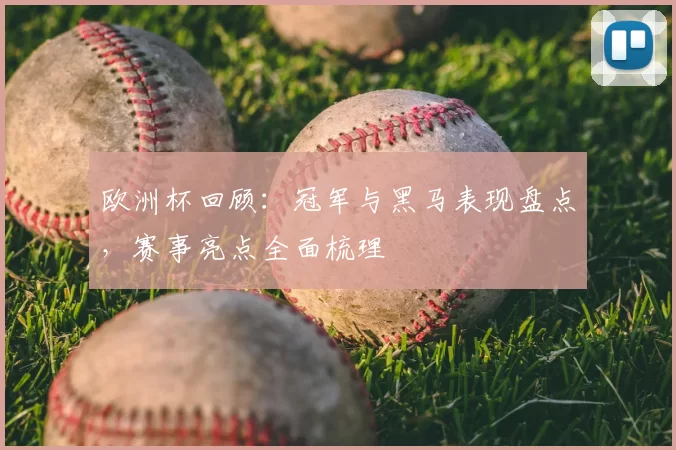 欧洲杯回顾:冠军与黑马表现盘点,赛事亮点全面梳理