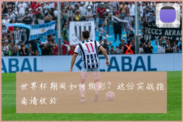 世界杯期间如何购彩?这份实战指南请收好