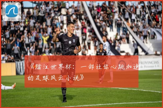 《赌注世界杯:一部让你心跳加速的足球风云小说》
