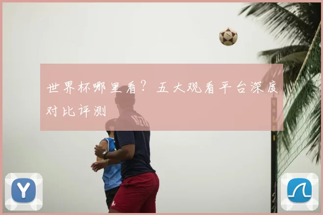 世界杯哪里看？五大观看平台深度对比评测