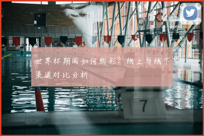 世界杯期间如何购彩?线上与线下渠道对比分析