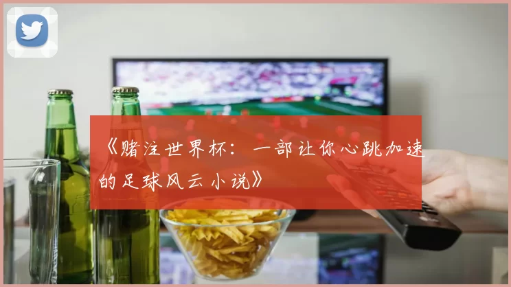 《赌注世界杯：一部让你心跳加速的足球风云小说》
