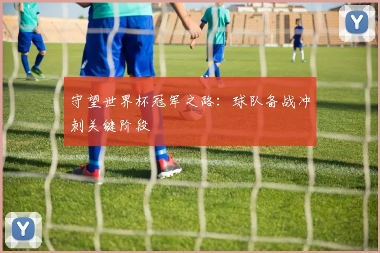 守望世界杯冠军之路:球队备战冲刺关键阶段