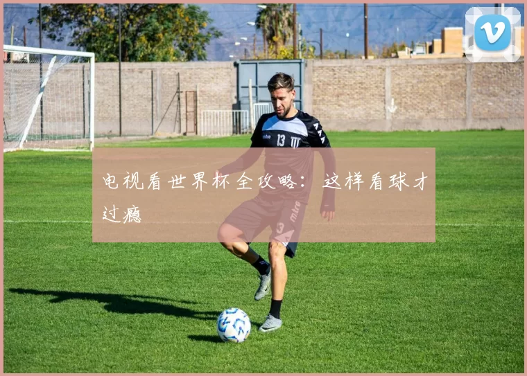 电视看世界杯全攻略:这样看球才过瘾